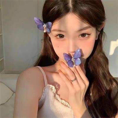 猫侍 前往南之岛